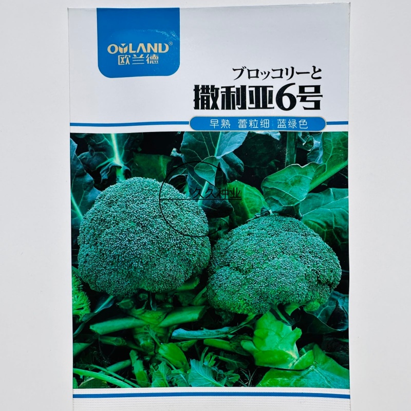 撒利亚6号西兰花种子早熟耐寒西兰花种子抗病秋季种植西兰花