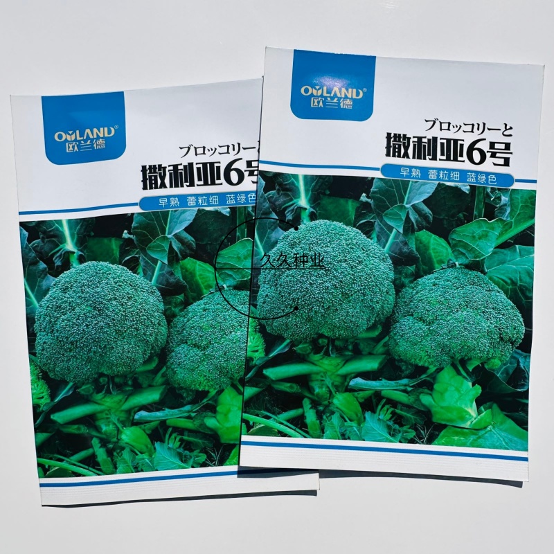 撒利亚6号西兰花种子早熟耐寒西兰花种子抗病秋季种植西兰花