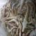 海鲶鱼