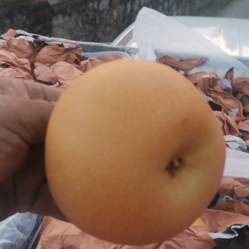 梨中皇后