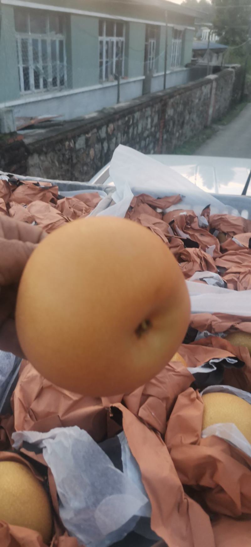 梨中皇后