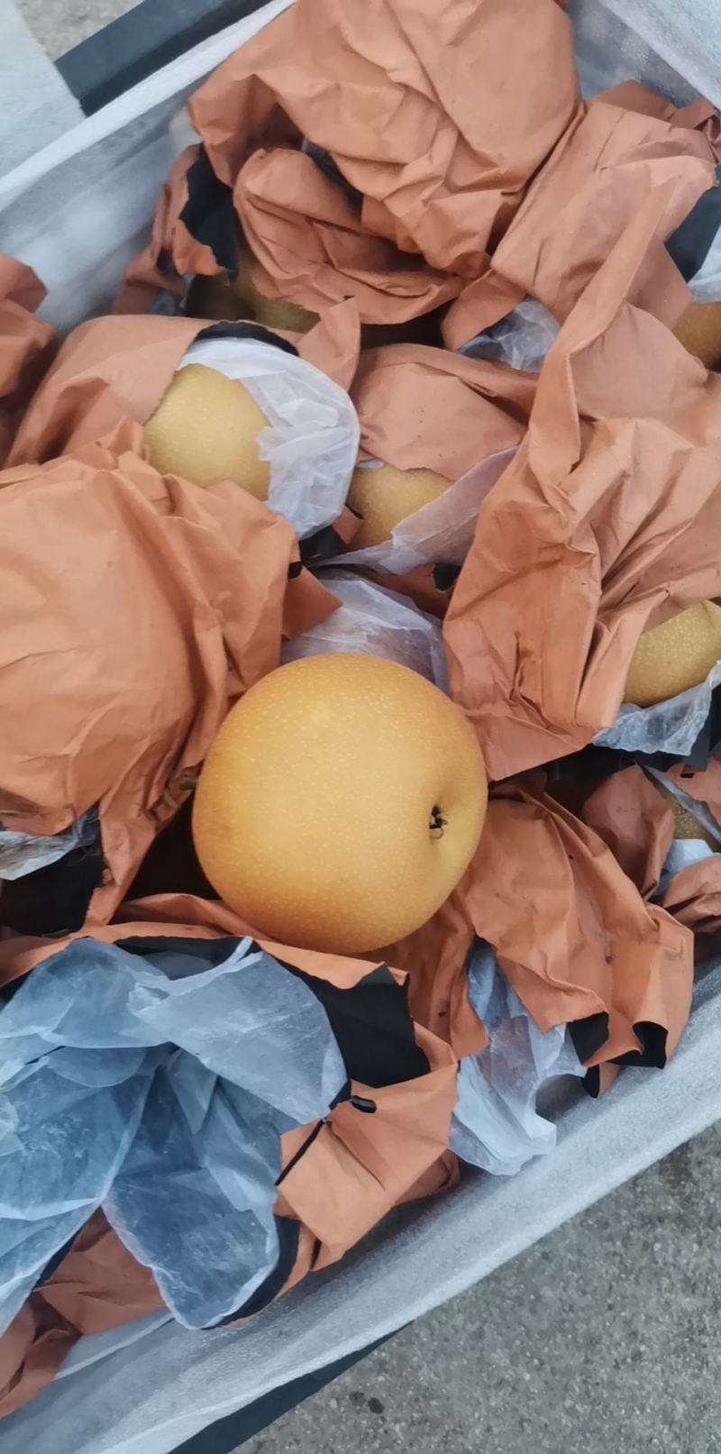 梨中皇后