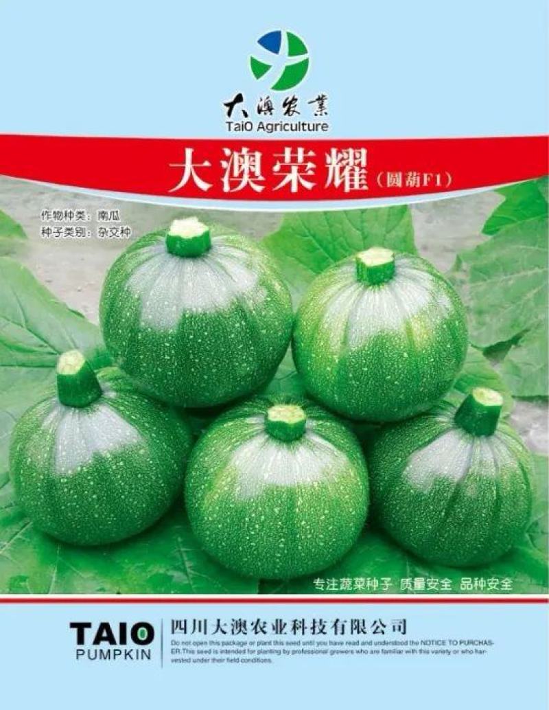 绿色圆西葫芦种子大澳荣耀早熟结瓜多青绿色抗病毒
