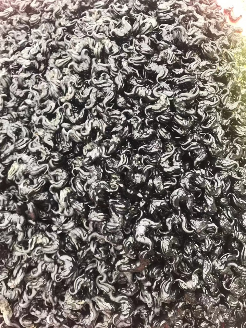 菱角湖南两角菱乌菱大黑菱角