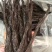 农家腐竹手工熬煮制作煲汤，凉拌，爆炒，火锅，炸腐竹，