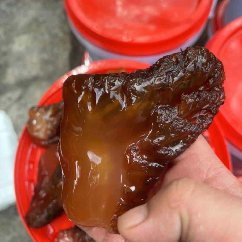 红海蜇头批量工厂出货