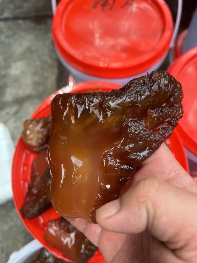 红海蜇头批量工厂出货