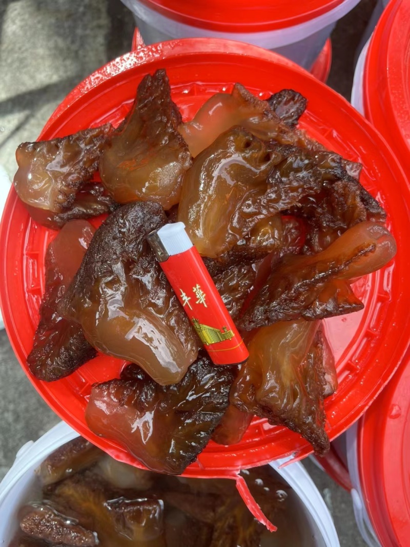 红海蜇头批量工厂出货