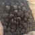 【九制无沙】熟地黄河南焦作产地直发规格齐全欢迎