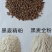 黑小麦粉常吃不升糖降脂不长肉！