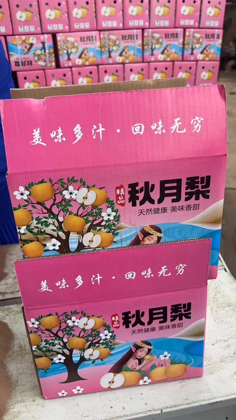 礼盒秋月梨。批发，电商。超市，零卖。市场。公司福利。