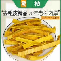 黄柏川黄柏黄柏丝批发各种中药材规格齐全