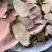 泽泻炒泽泻盐泽泻精品大片无硫磺批发各种中药材