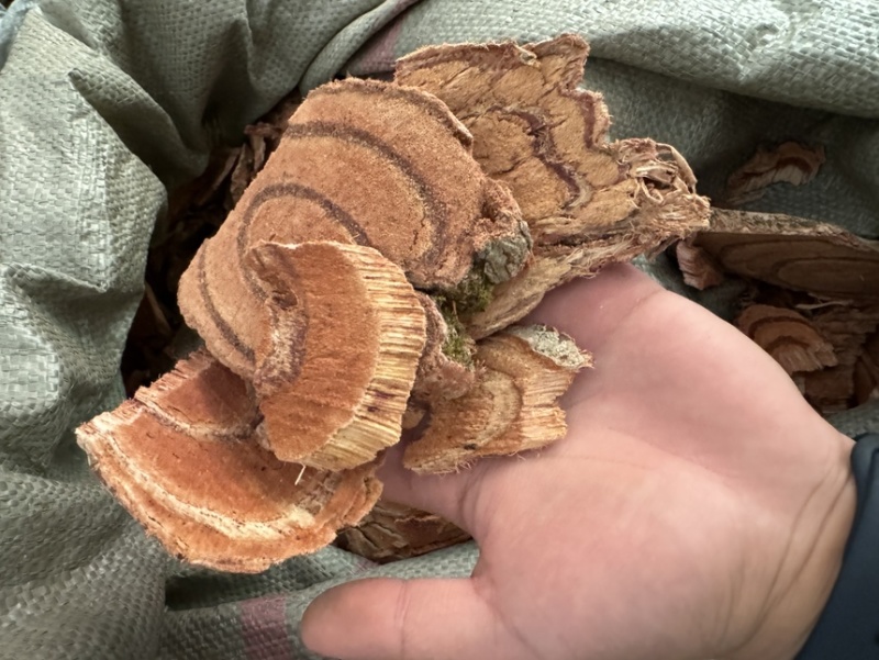 鸡血藤野生老藤广西***无硫磺可免费打粉泡水
