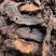 生地黄焦作地黄片野生特级大片无硫磺规格齐全