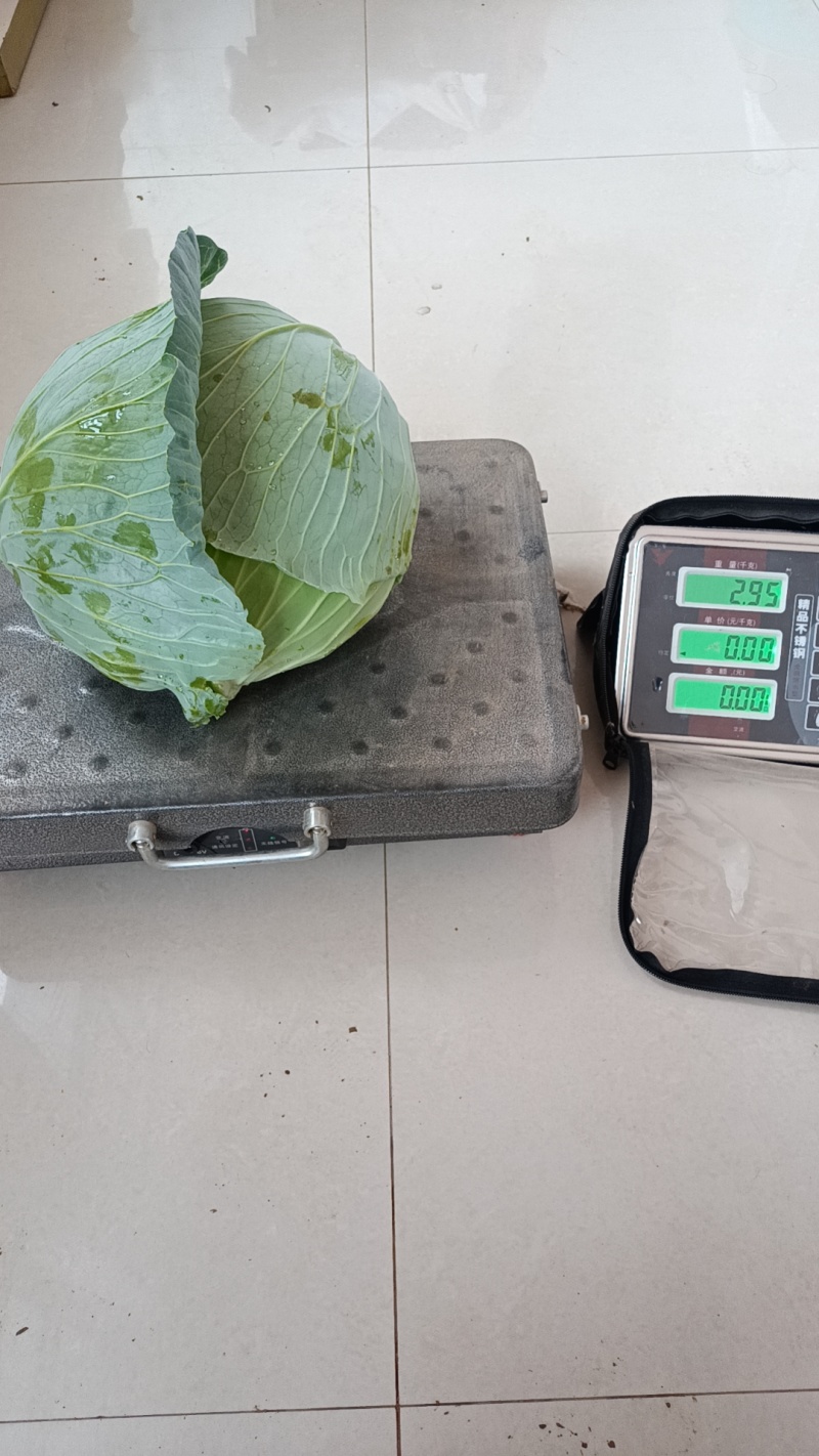 奥奇娜大量上市，有需要的老板请联系，质量优