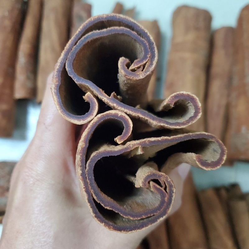 中药材越南高山紫油桂含油量高无硫品质好可泡水可食用药性好