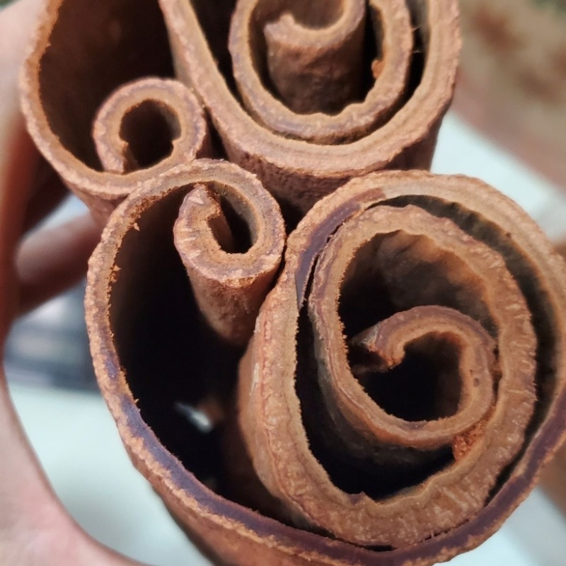 中药材越南高山紫油桂含油量高无硫品质好可泡水可食用药性好