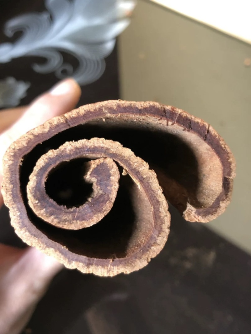 中药材越南高山紫油桂含油量高无硫品质好可泡水可食用药性好