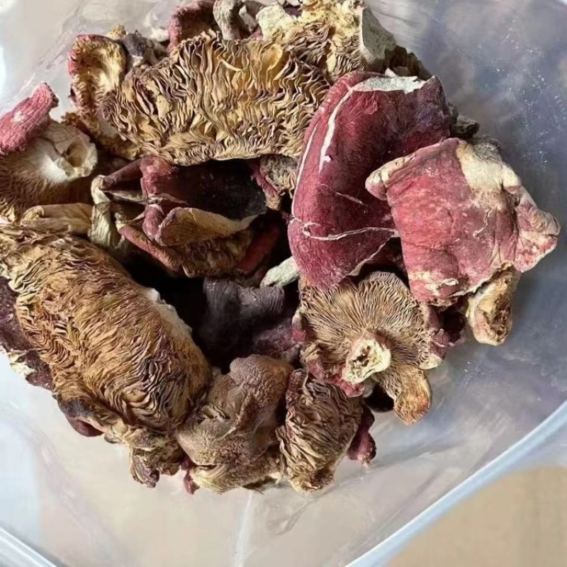 方城红菇干货伏牛山野生红菇开伞月子菇原产地特价包邮