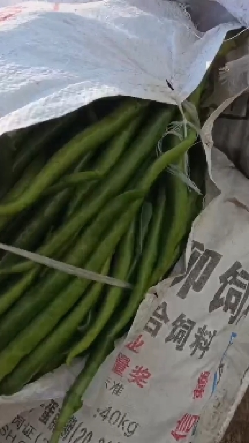 优选线椒5号辣椒品质好货源充足产地直发欢迎联系