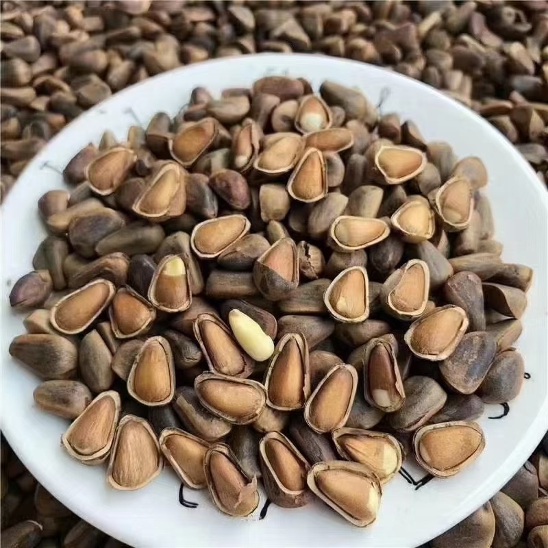 东北红松子开口松子物理开口原味黑龙江松子非油炸