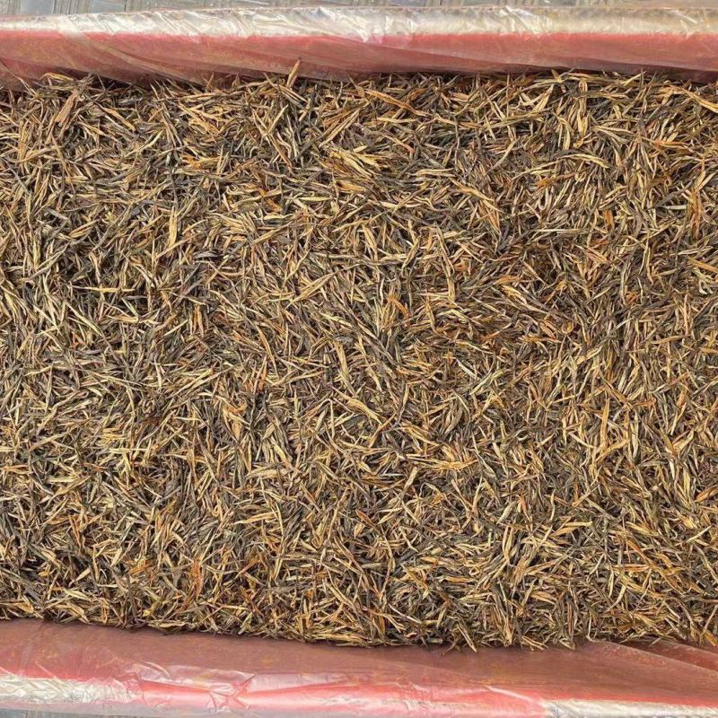 一芽一叶金针红茶
