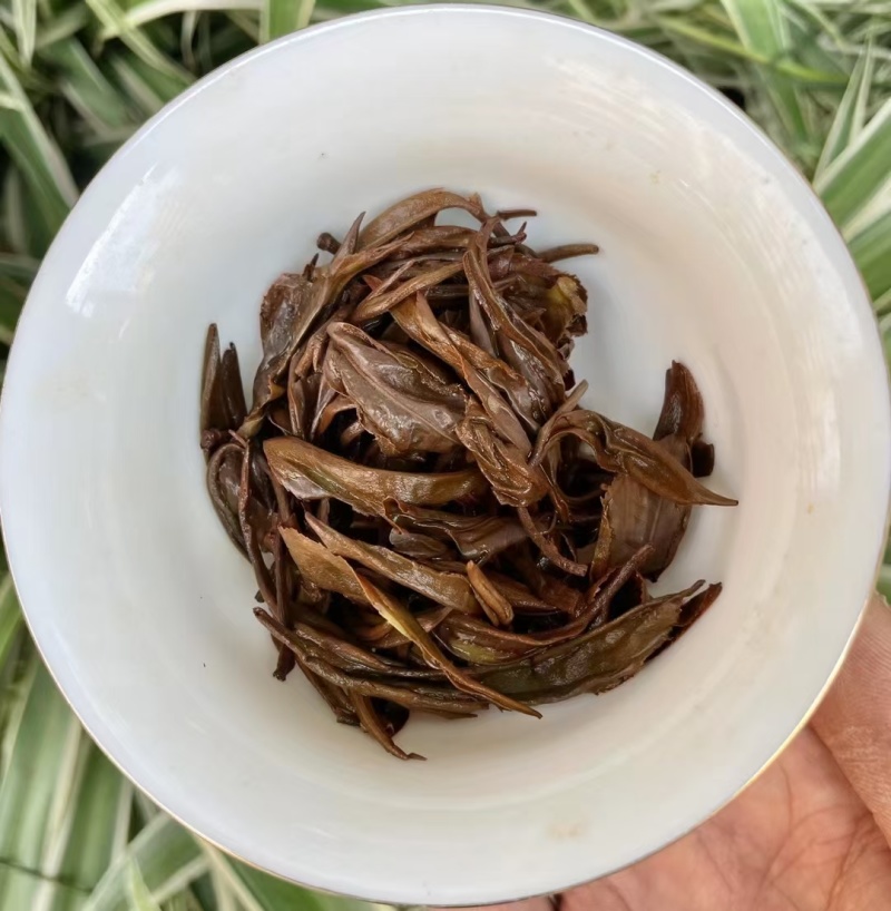 一芽一叶金针红茶