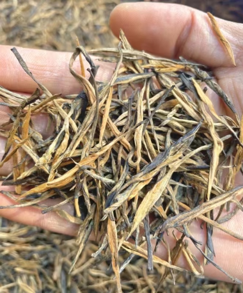 一芽一叶金针红茶