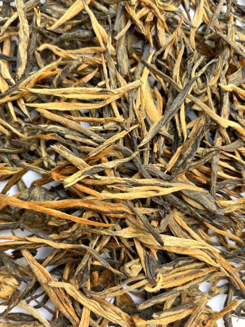 一芽一叶金针红茶