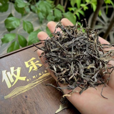 攸乐（古树生茶）高档木质茶礼