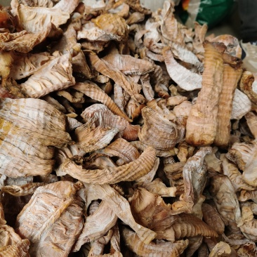 精选笋干竹笋干笋干大量现货质量保证诚信经营