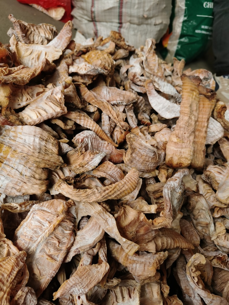 精选笋干竹笋干笋干大量现货质量保证诚信经营