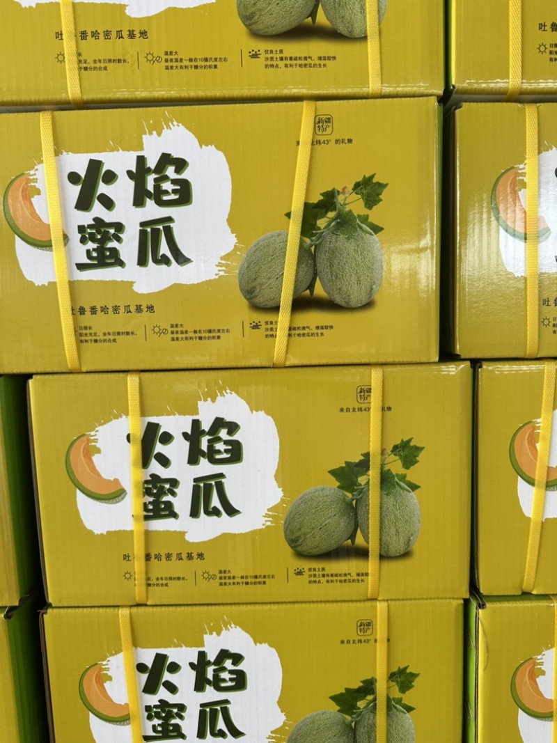 新疆哈密瓜金色年华西洲蜜，一级二级，电商货，可视频