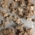多花姜型黄精，鸡头黄精，甜黄精，大量供应（药典品种）