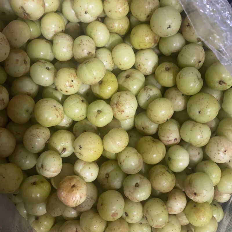 特甜油甘果