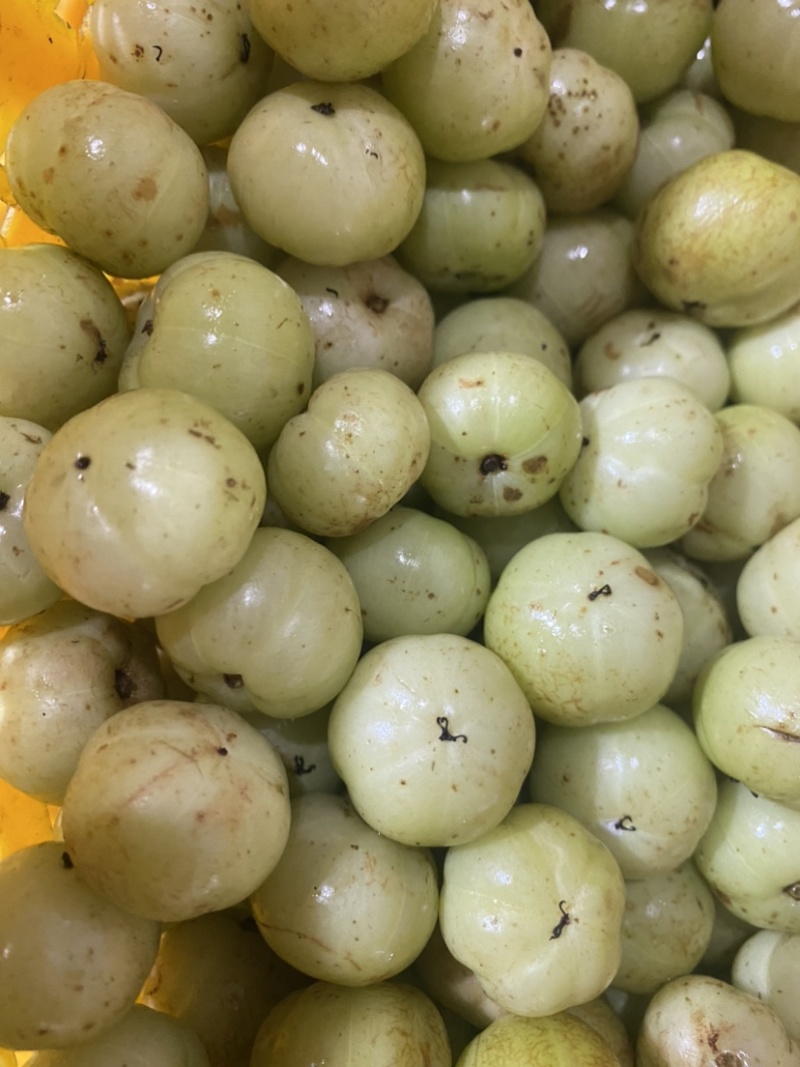 特甜油甘果