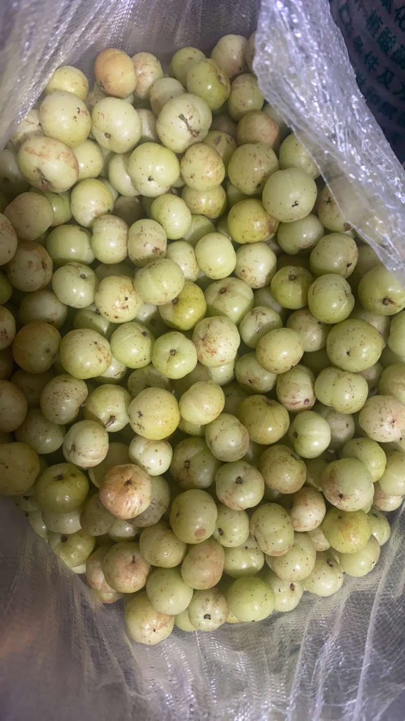 特甜油甘果