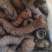 巴戟天干货中药材泡酒煲汤干货