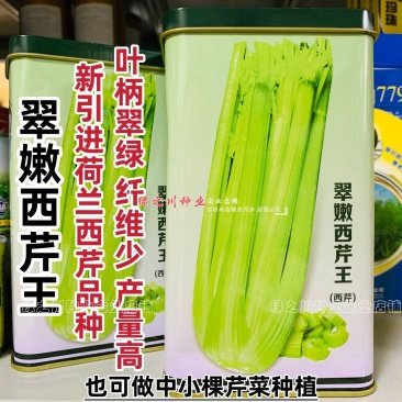 翠嫩西芹王芹菜种子早熟翠嫩西芹种子纤维少耐低温基地专用