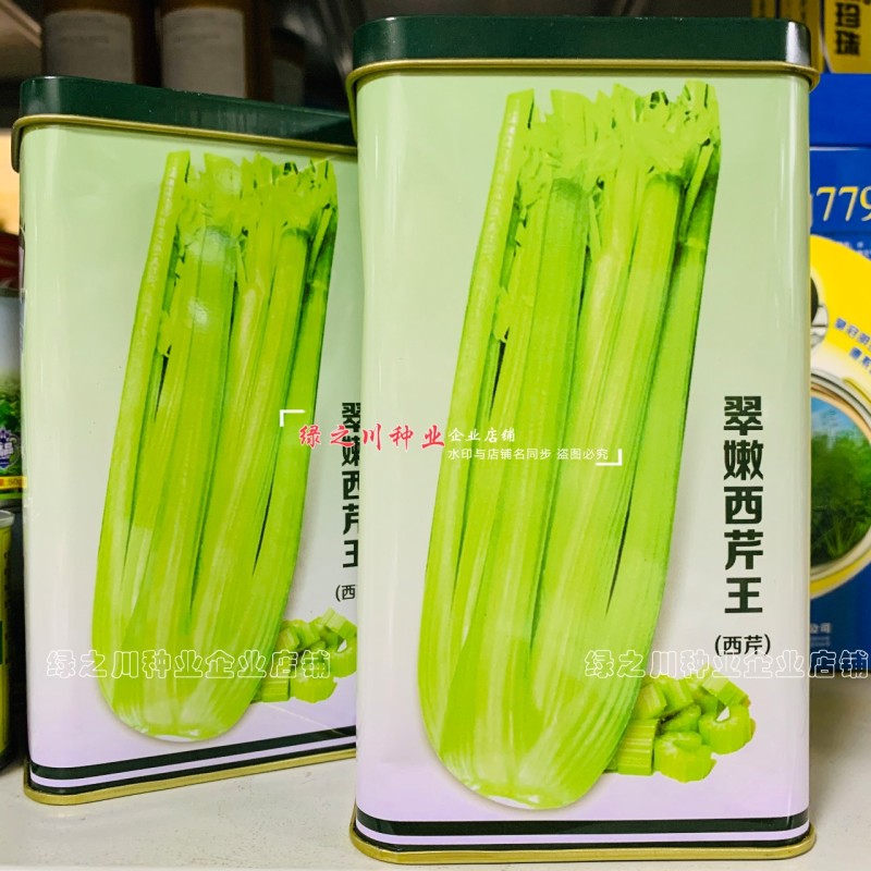 翠嫩西芹王芹菜种子早熟翠嫩西芹种子纤维少耐低温基地专用