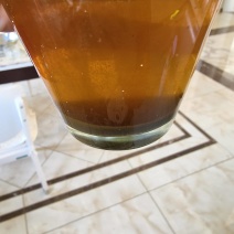 大量出售高芥酸油菜籽