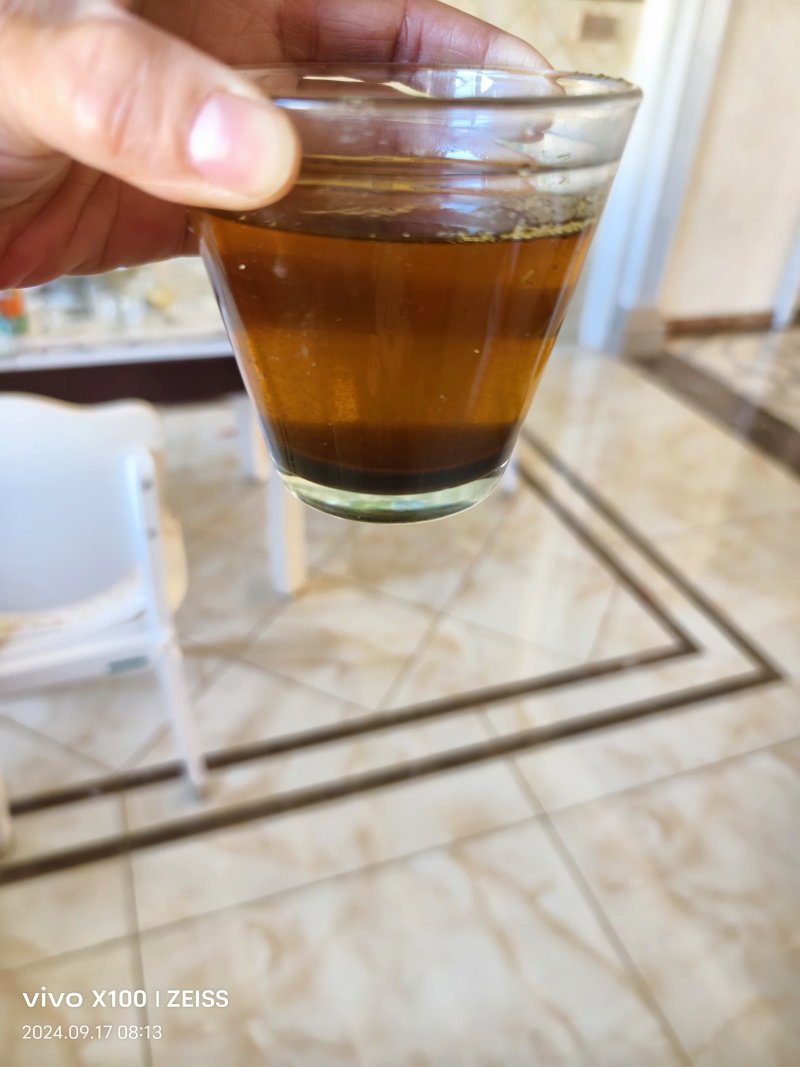 大量出售高芥酸油菜籽