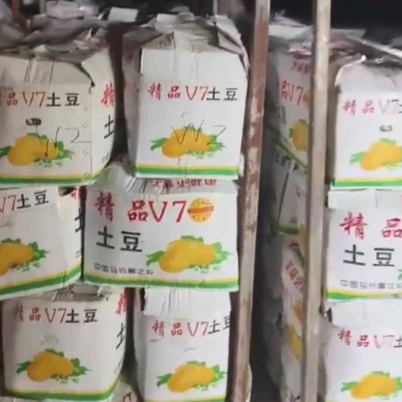 马铃薯～优质土豆，精品