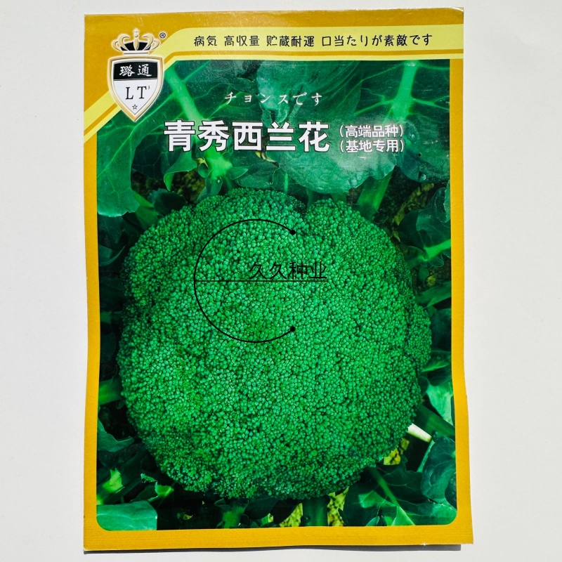 璐通青秀西蓝花种子高品质杂交西兰花种籽新品种春秋两季
