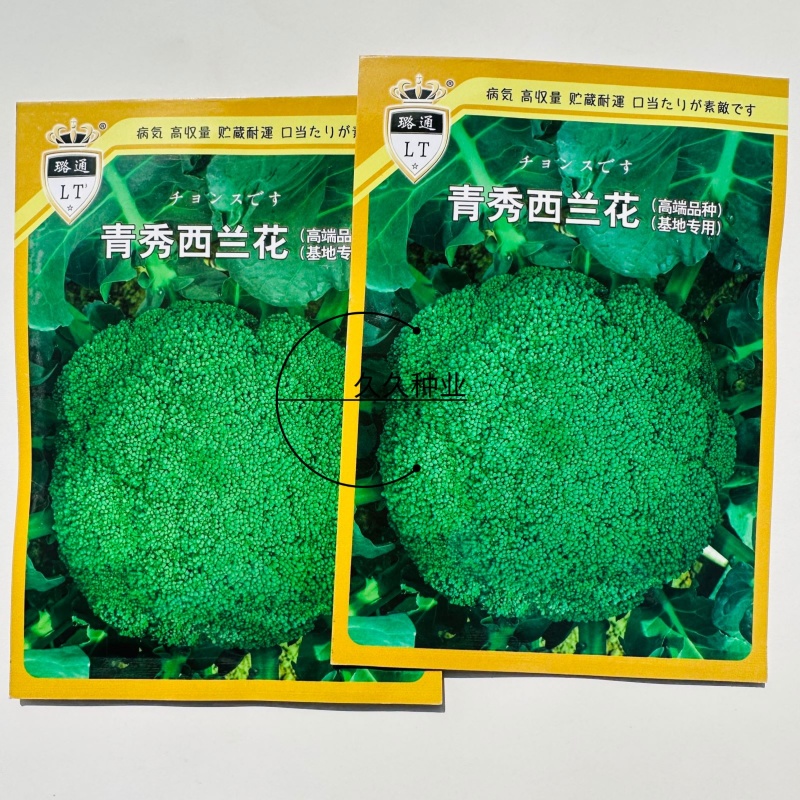 璐通青秀西蓝花种子高品质杂交西兰花种籽新品种春秋两季