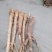 精品高含量桔梗，3—5年生长期，含量高，个头大，质量好，