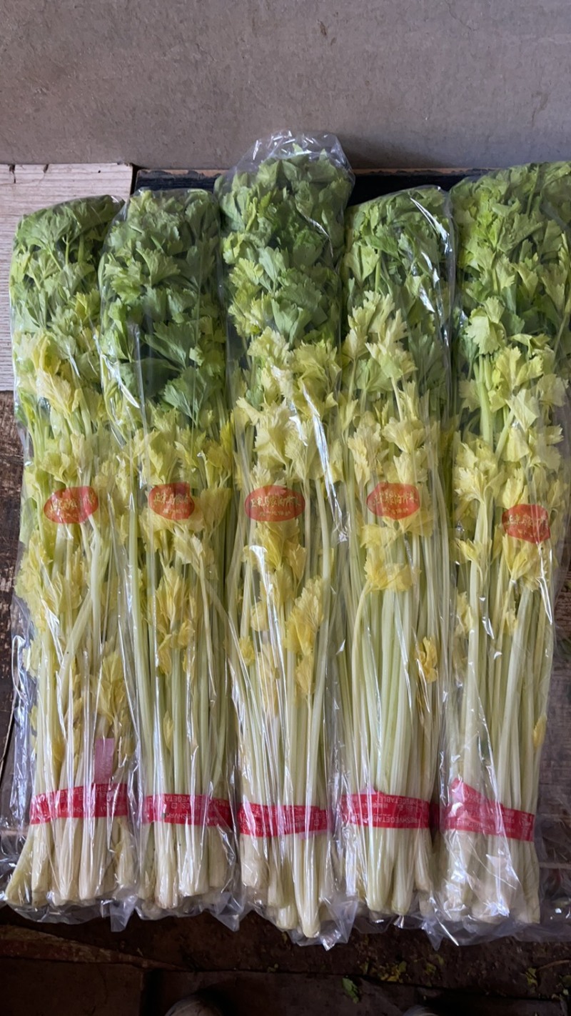 马家沟芹菜，四斤礼盒装