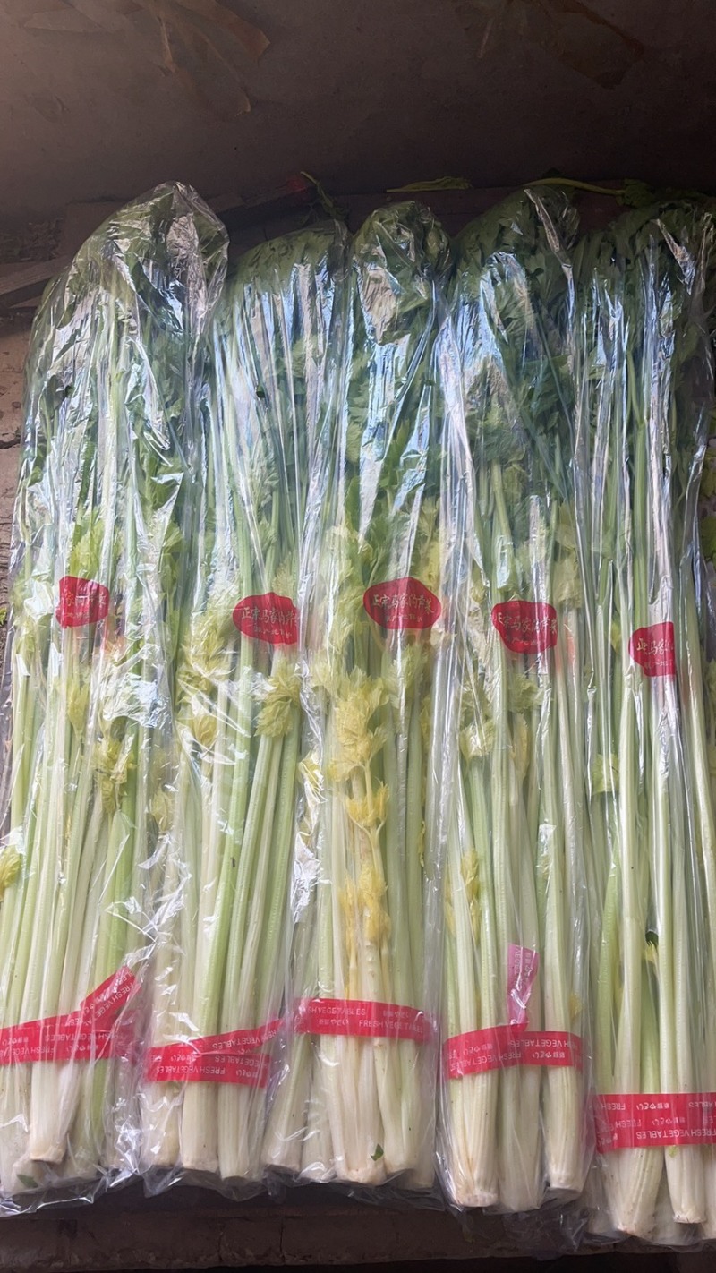 马家沟芹菜，四斤礼盒装