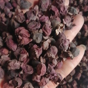 多尼桃金娘干货